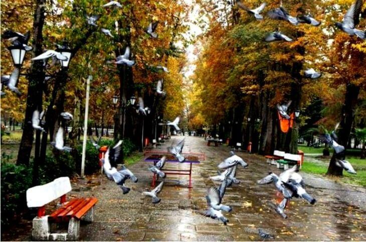 باغ محتشم در شهر رشت